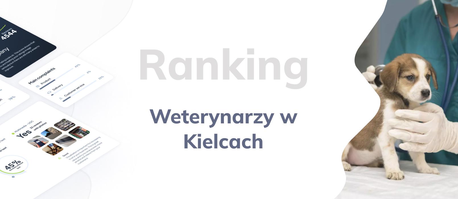 Weterynarze w Kielcach - ranking TOP 10