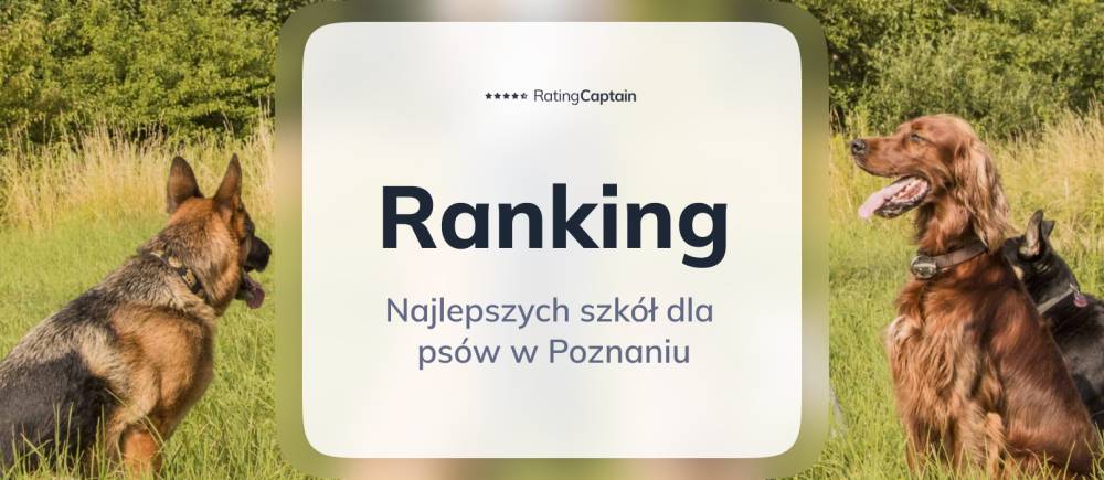 Najlepsze szkoły dla psów w Poznaniu - ranking TOP 10