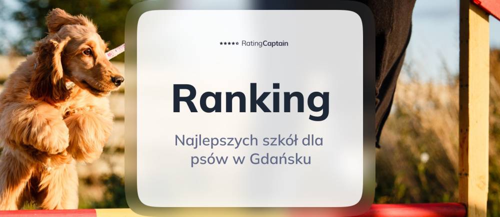 Najlepsze szkoły dla psów w Gdańsku - ranking TOP 10