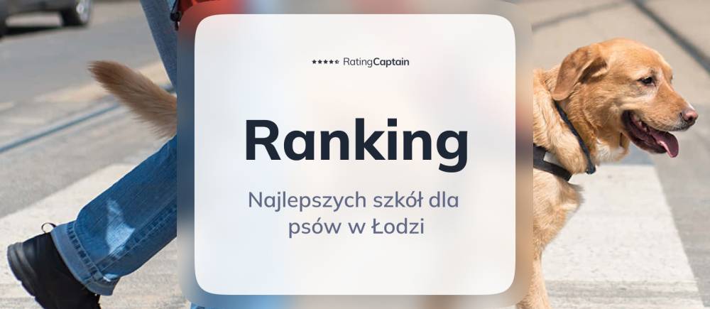 Najlepsze szkoły dla psów w  Łodzi - ranking TOP 10
