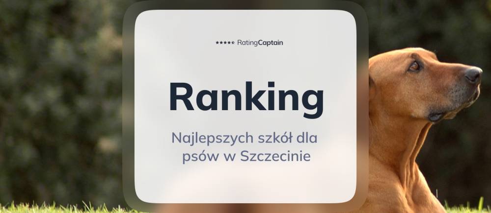 Najlepsze szkoły dla psów w Szczecinie- ranking TOP 10