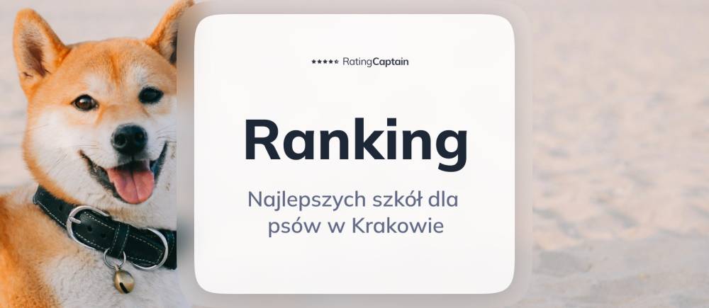 Najlepsze szkoły dla psów w Krakowie - ranking TOP 10