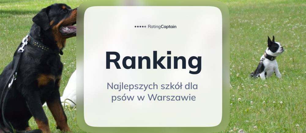 Najlepsze szkoły dla psów w Warszawie - ranking TOP 10
