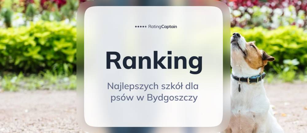 Najlepsze szkoły dla psów w Bydgoszczy - ranking TOP 10