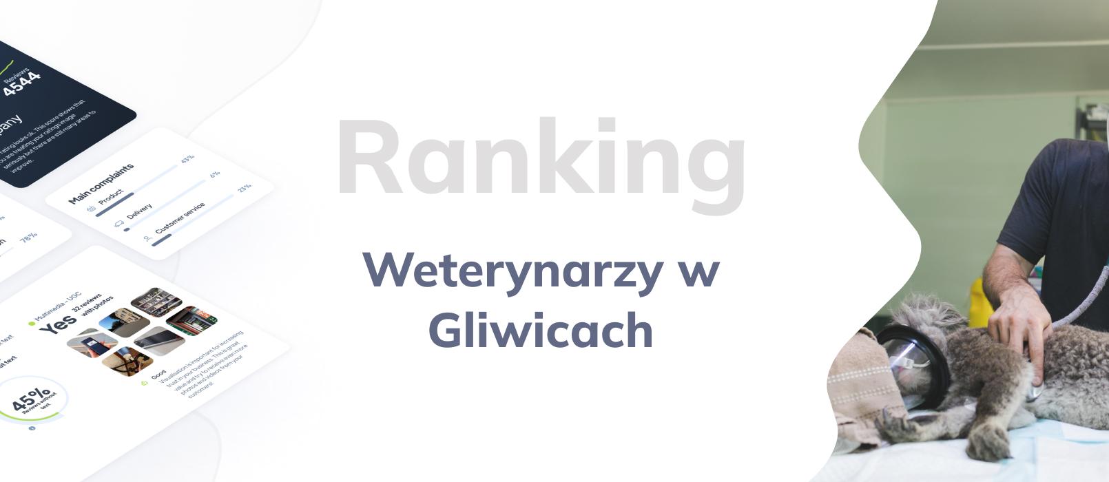 Weterynarze w Gliwicach - ranking TOP 10