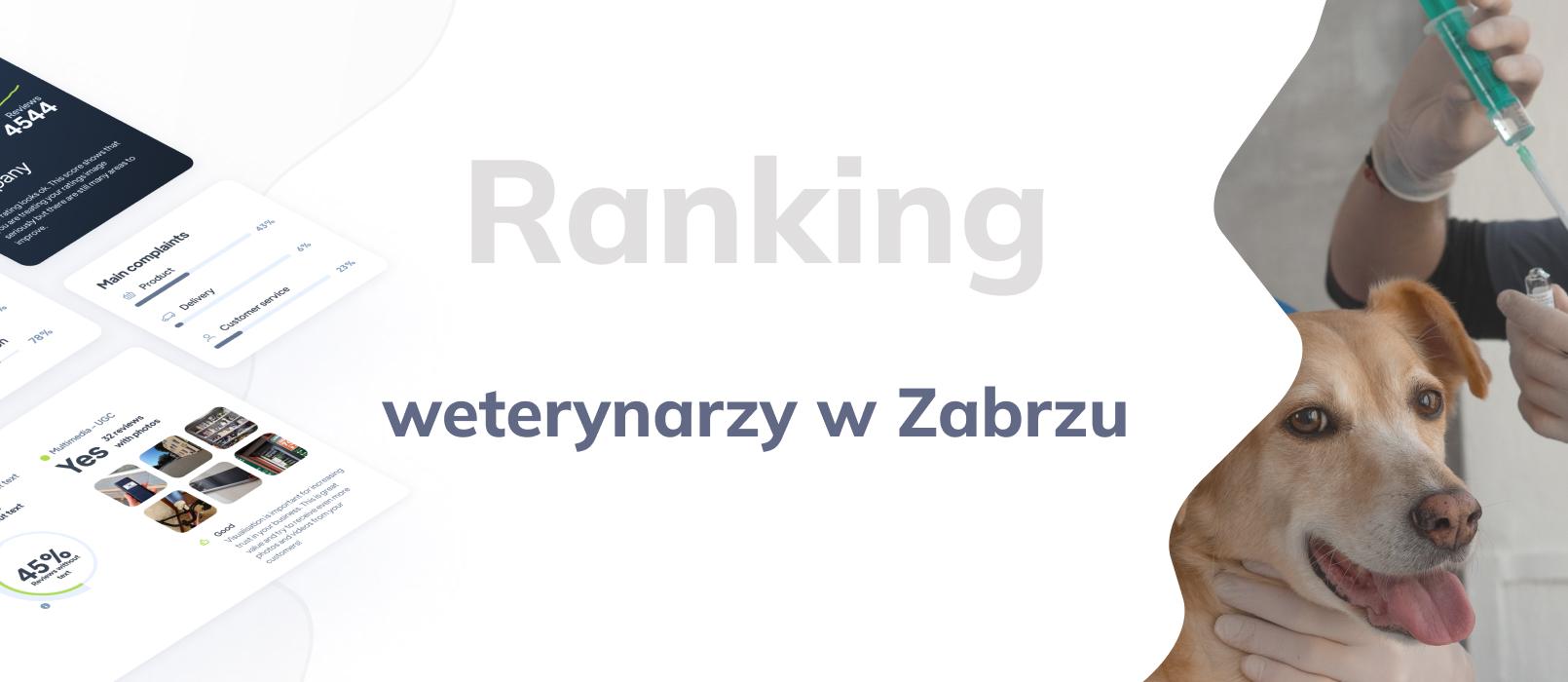 Weterynarz w Zabrzu - ranking TOP 10