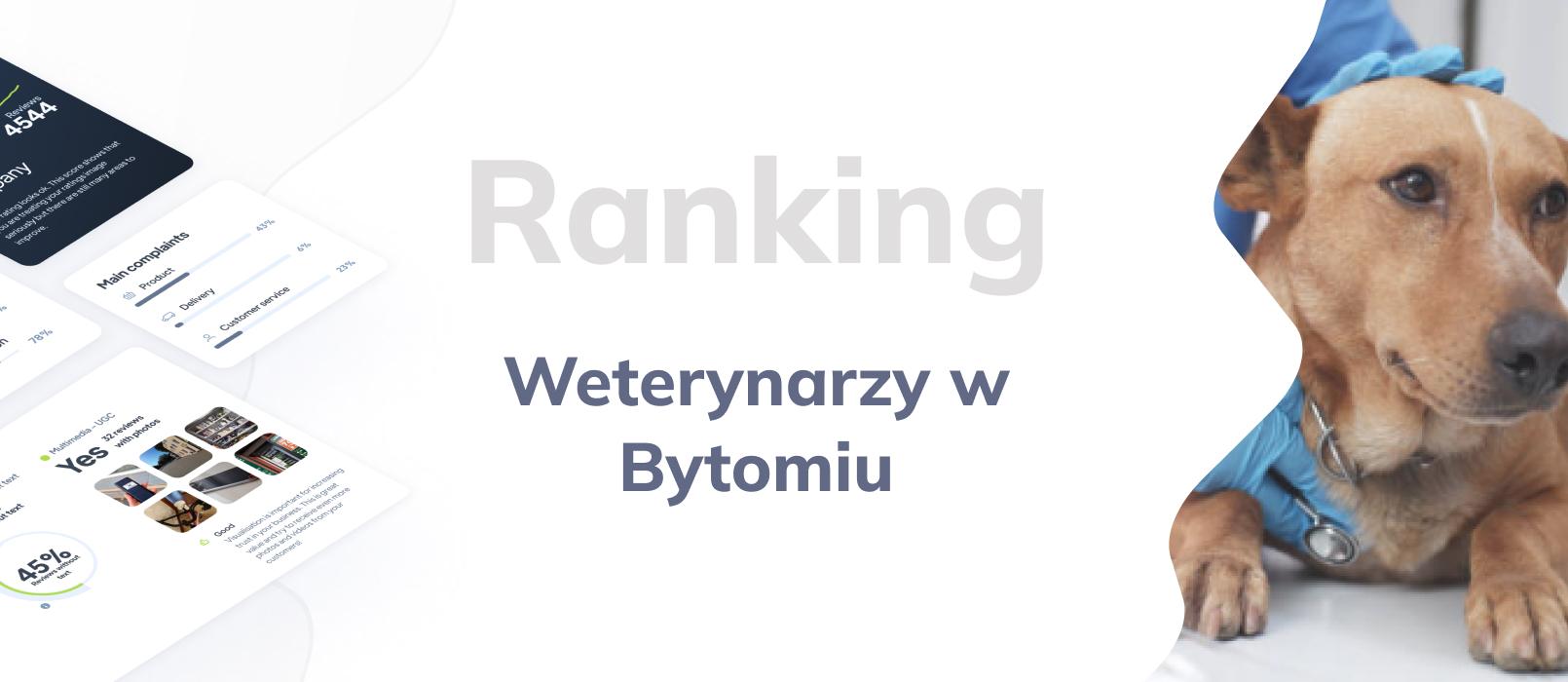 Najlepsi weterynarze w Bytomiu - TOP 10